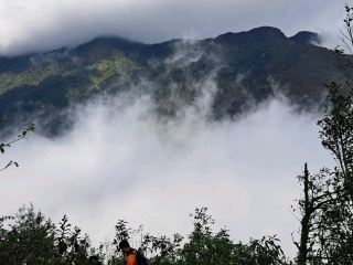 Exploring the majesty trekking in Northen Vietnam