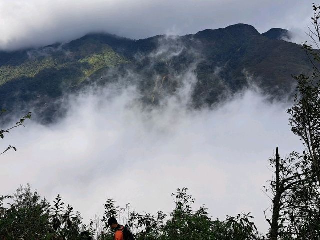 Exploring the majesty trekking in Northen Vietnam