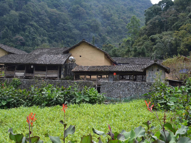 🛣️Hà Giang – The Road That Keeps Calling Me Back