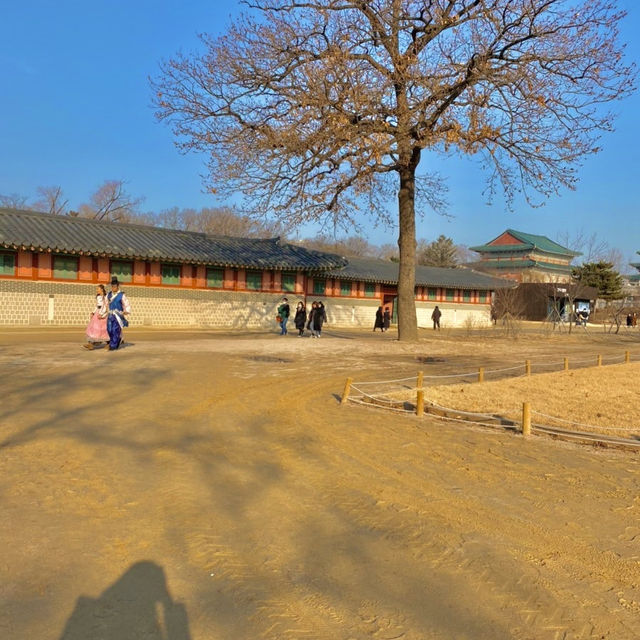 경복궁 데이트부터 아웃백 식사, 시원한 카페까지 완벽한 하루 💗