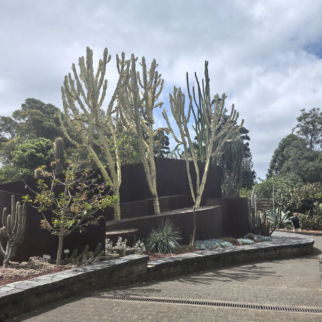 Sydney Royal Botanic Garden  🌿🌸