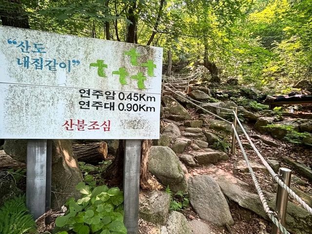 City Escape with a Side of Rock Climbing