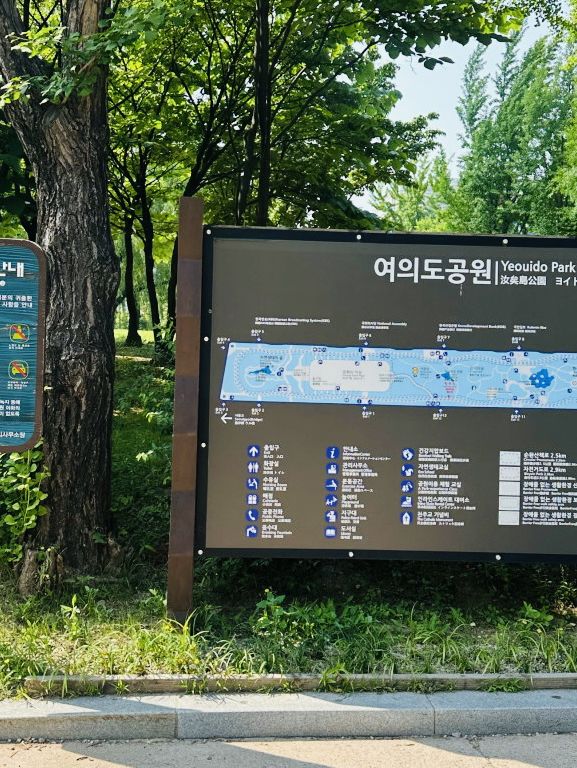 Yeouido Park: A Refreshing Urban Oasis