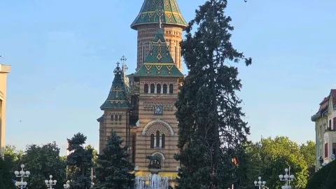 Đài phun nước cá — traveler post in Timisoara