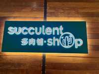 A Little Green Joy at Gurney Paragon Mall