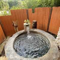   Taryn Hot Springs