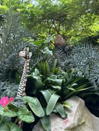 Flower Dome - Garden by the bay
