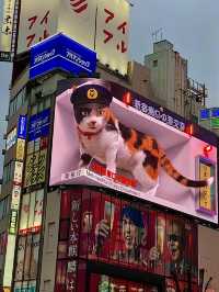 โอซาก้า🇯🇵