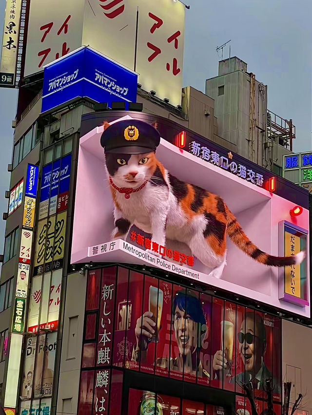 โอซาก้า🇯🇵
