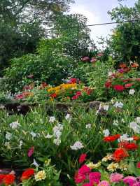 都会の喧騒を離れて、自然に包まれたスワンルアン・ラマ9で心をリセット🌿🌸