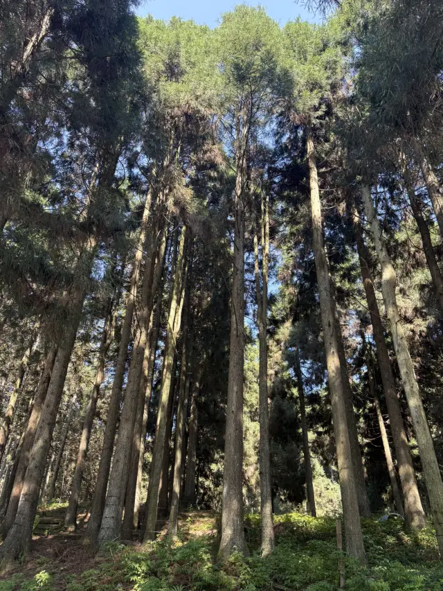 仙女山不為人知的一面