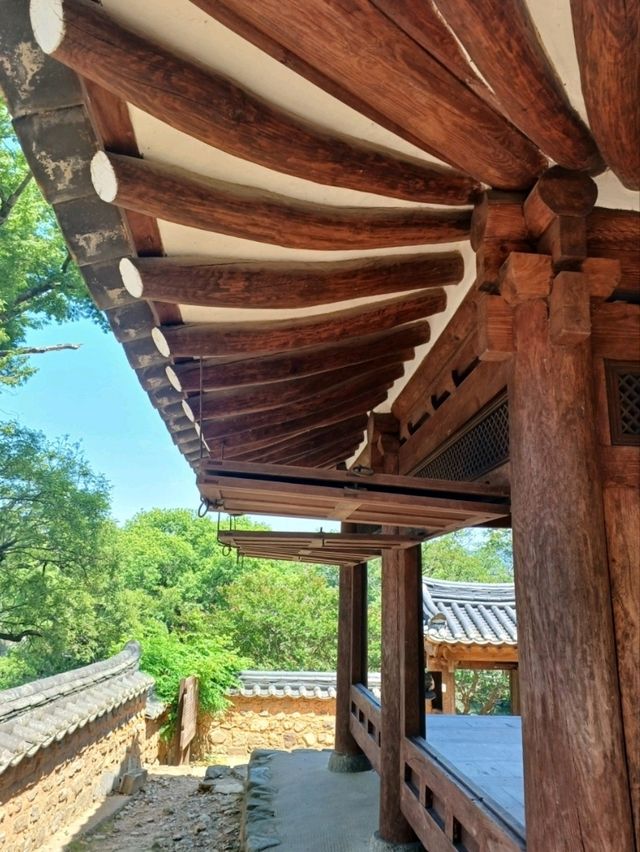 무진정, 물빛 가득한 가족 산책 명소!