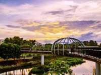 Canopy Bridge