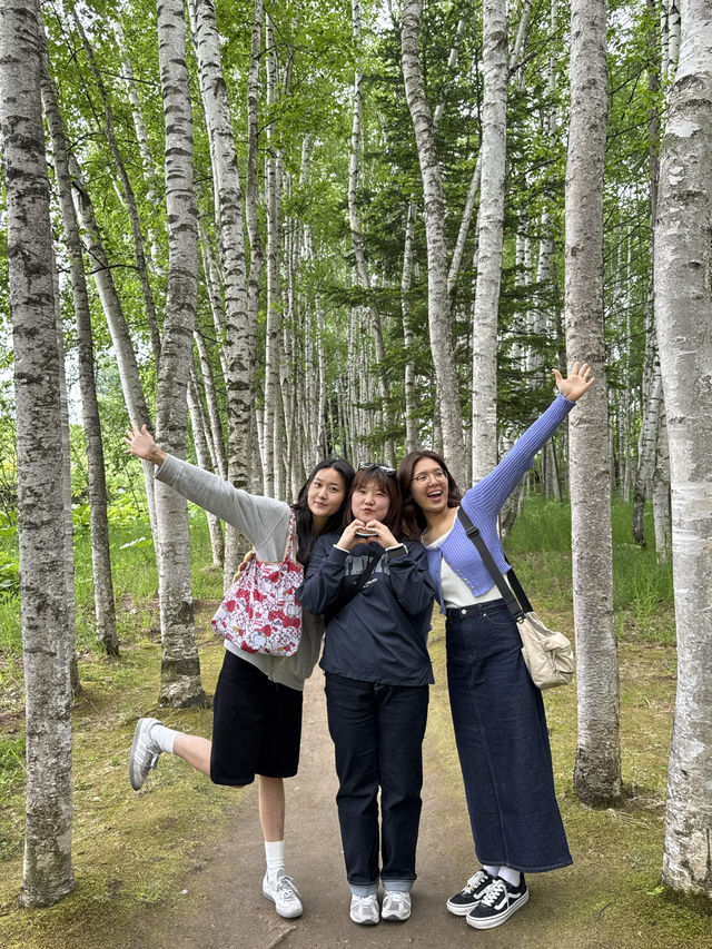 일본 여행지 추천 🇯🇵✈️