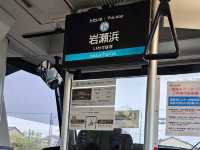 🚋 地面散策新體驗，富山一日電鐵巴士乘車券。