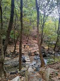 Forest Trails & Chill Peaks in Jangyu