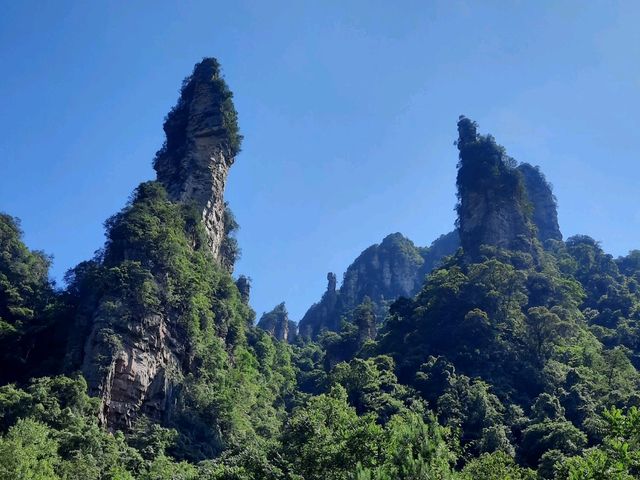意象 張家界國家森林公園 