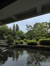 A Tranquil Cultural Treasure – My Visit to Nara National Museum, Nara