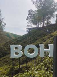 Highland breeze, endless greens, and a perfect cup of BOH 🍃☕️