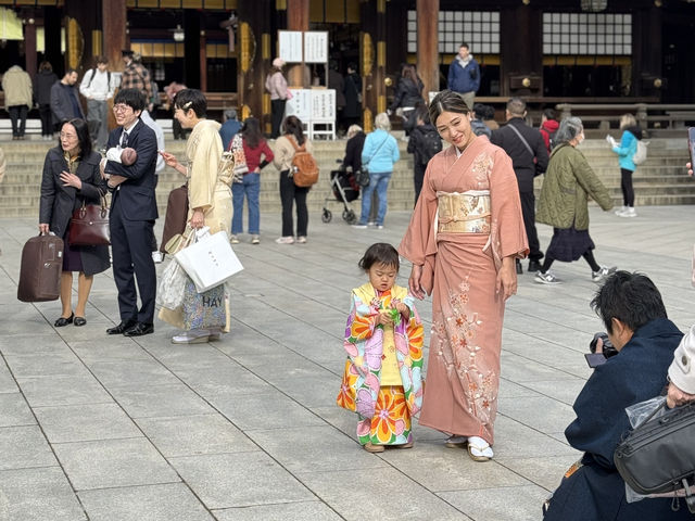 ⛩️ Shrine Among the Trees: Meiji Jingu’s Beauty Meets Tokyo’s Buzz 🌲