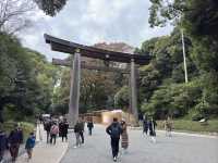 ⛩️ Shrine Among the Trees: Meiji Jingu’s Beauty Meets Tokyo’s Buzz 🌲