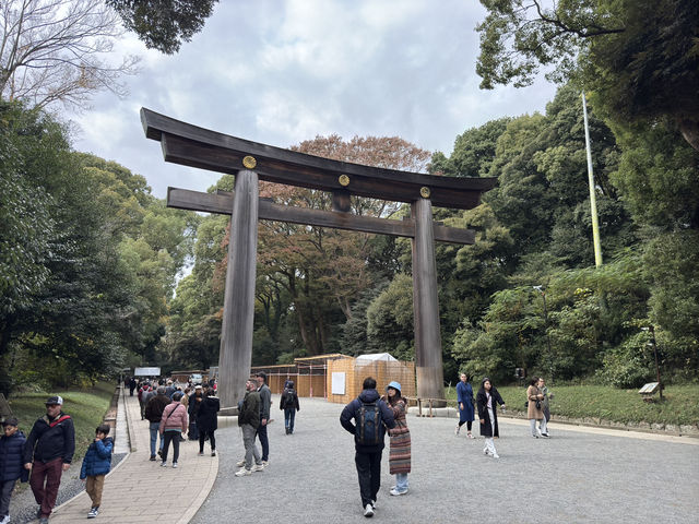 ⛩️ Shrine Among the Trees: Meiji Jingu’s Beauty Meets Tokyo’s Buzz 🌲