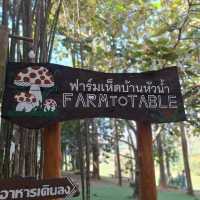 🍄 ฟาร์มเห็ดบ้านหัวน้ำ จ.น่าน |