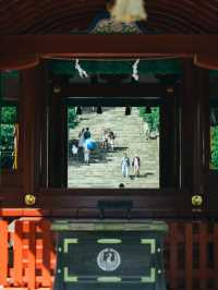 ⛩源氏の歴史と四季の美に触れる「鶴岡八幡宮」で心澄む鎌倉旅