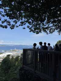 🌊海・神社・絶景がそろう「江の島」で、五感が満たされる旅を 