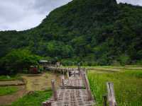 ถ่ายรูปสะพานไม้ไผ่วิวทุ่งนา กับ วัดนาคูหา📍แพร่ 