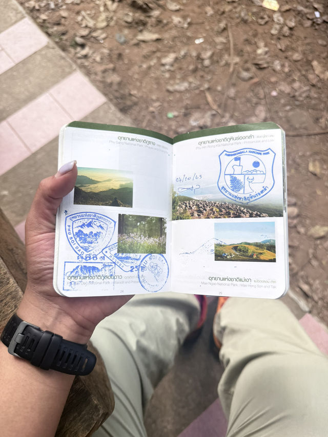 เดินป่าภูสอยดาว เมื่อปลายปีแล้ว 🌿