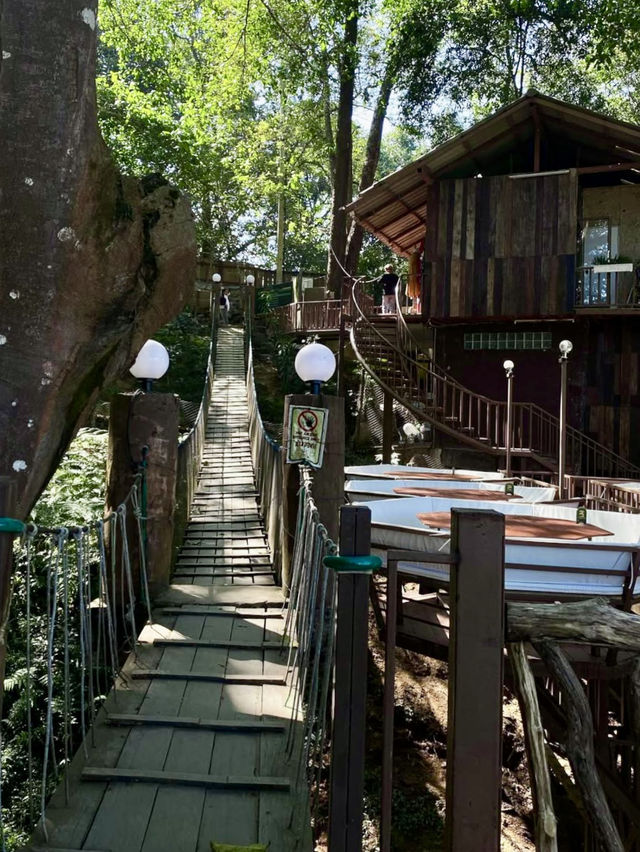 산 속 오솔길과 목재 테라스, 💚아름다운 자연경관이 있는 치앙마이 카페투어🏞️