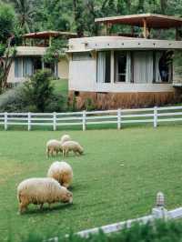 The Scenery Vintage Farm