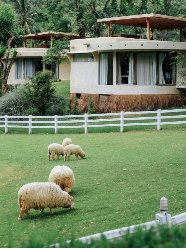 The Scenery Vintage Farm