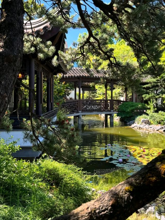 🌿 Chinese Garden Singapore – Tranquility in the City! 🏯