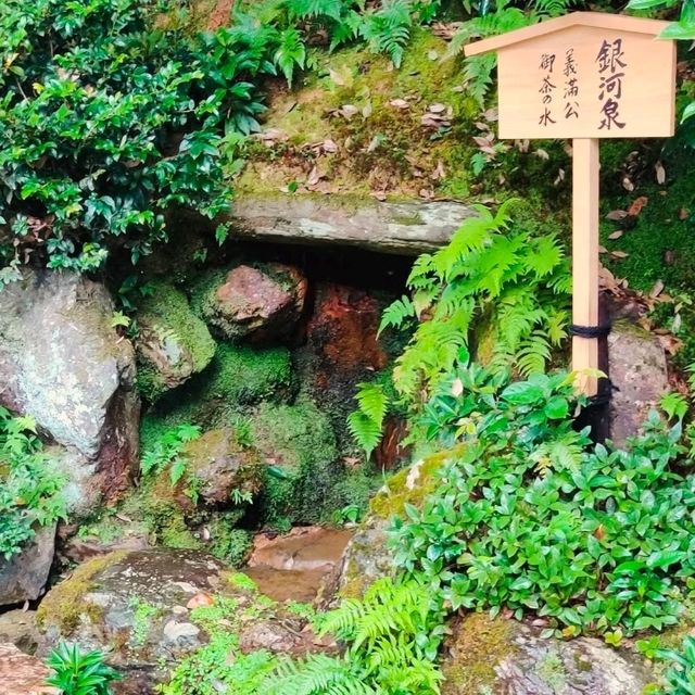 黄金の輝きに包まれた静寂の中で