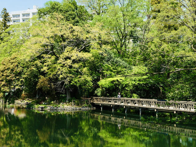 吉祥寺慢遊必到景點！不論是一家大小或情侶都適合