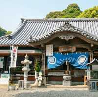 鯖大師