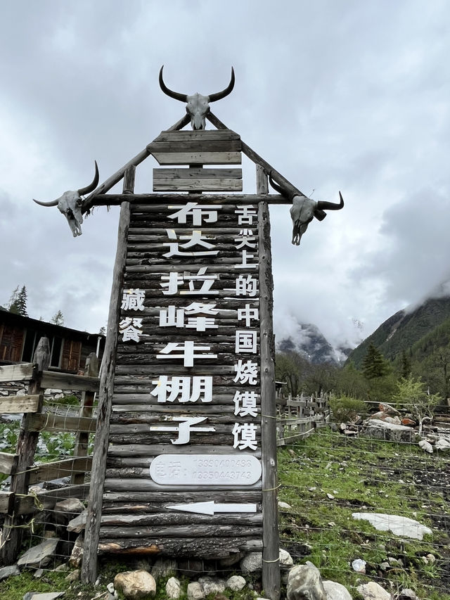 双桥沟 Scenic Escape | The Most Effortless Way to Enjoy 四姑娘山’s 