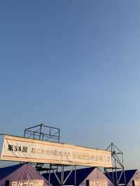 【大阪🇯🇵】淀川花火大会🎆