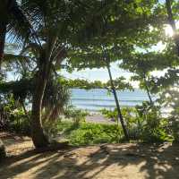หาดในหาน