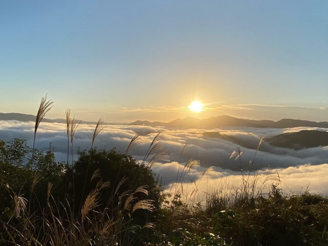 【石鎚山】西日本最高峰で感じる大自然のパワーと達成感💪🌲