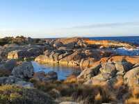 Tasmania never cease to amaze