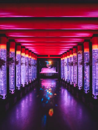 Art Aquarium Museum GINZA unveils three new areas