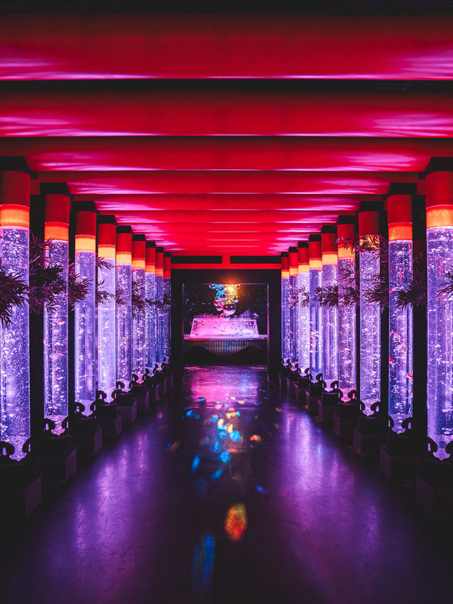 アートアクアリウム美術館GINZAに3つの新エリアが登場🎋