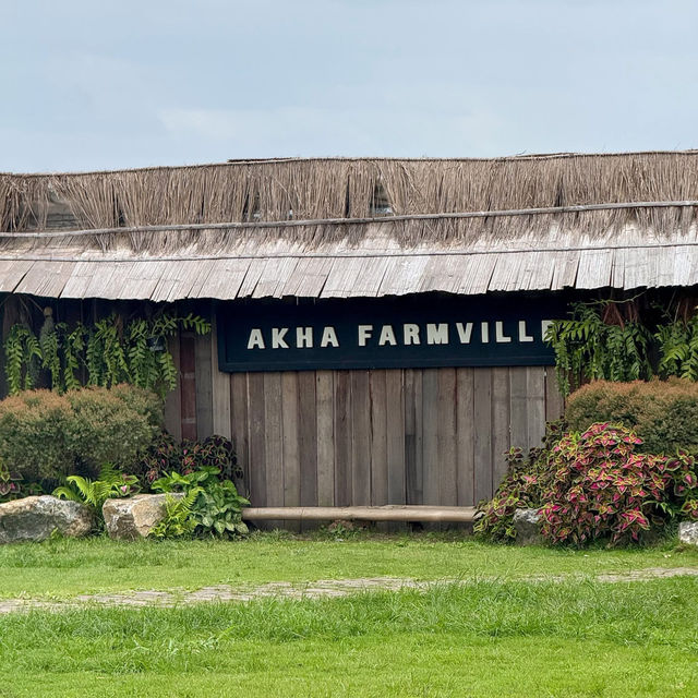 🌳🛖อาข่า ฟาร์มวิลล์ Akha Farmville 🪵🌾🐑