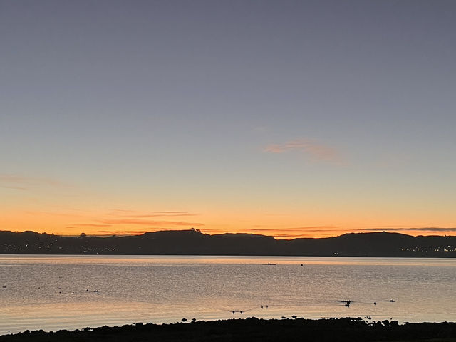 🌅紐西蘭陶波湖日落｜與鴨鴨靜賞黄金時刻✨