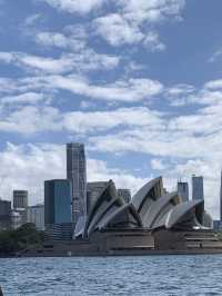 여름 시드니를 추천하는 이유 🇦🇺❤️