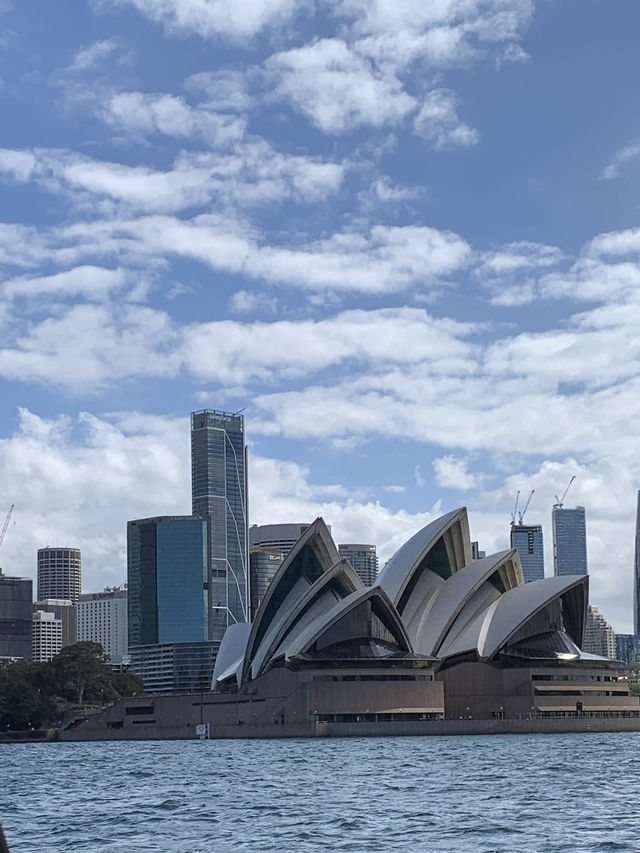 여름 시드니를 추천하는 이유 🇦🇺❤️
