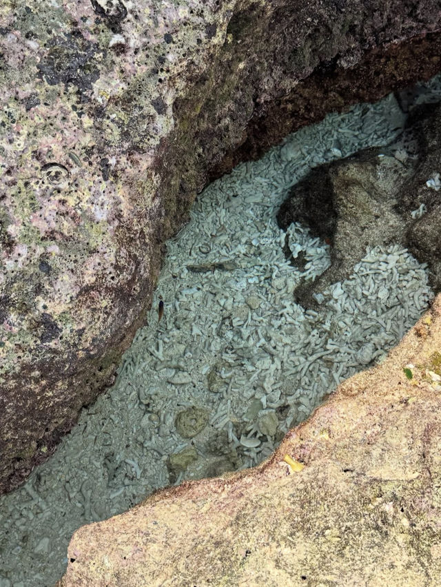 【恋の島へドライブ】絶景と神話が息づく「古宇利島」